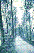 ND 158C.jpg